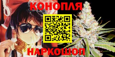 spice Беслан