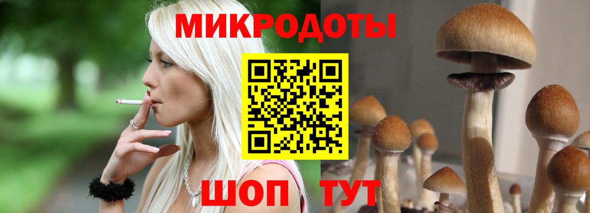 Галлюциногенные грибы MAGIC MUSHROOMS  Вход с VPN  Кимовск 